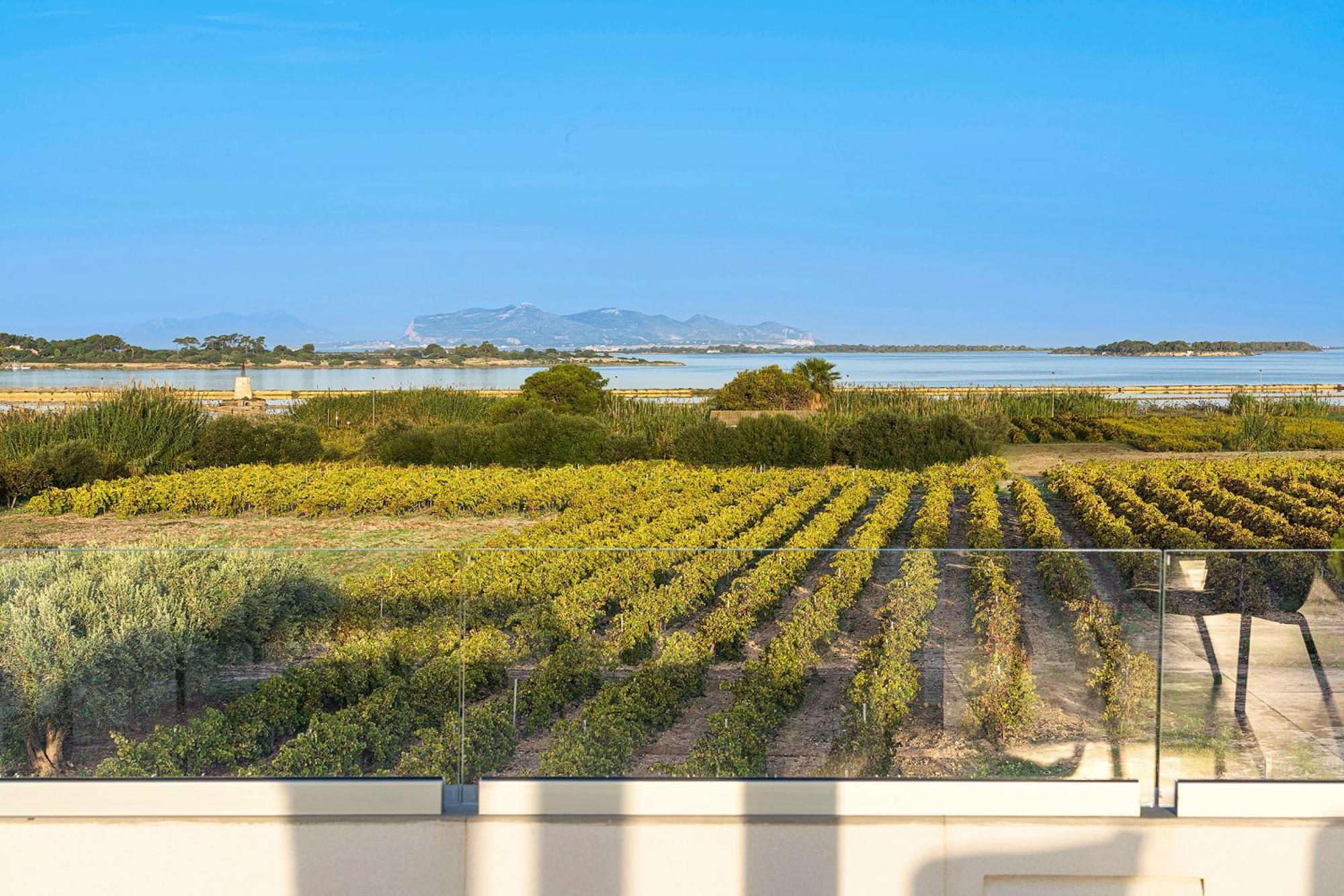 Martina'S Vineyard - Villa Marsala Exterior photo